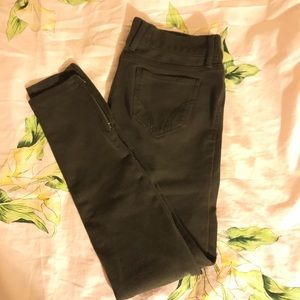 hollister pants